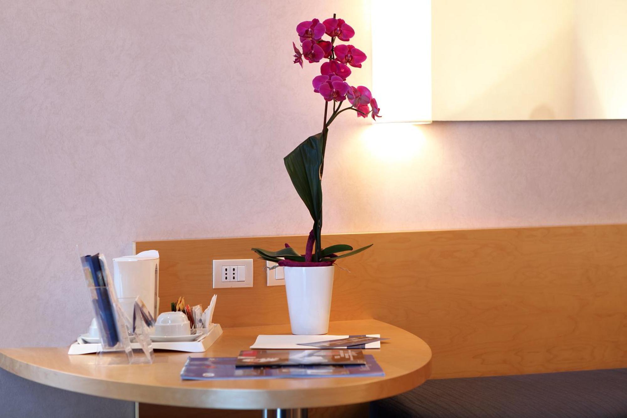 Hotel Nicotel 4*